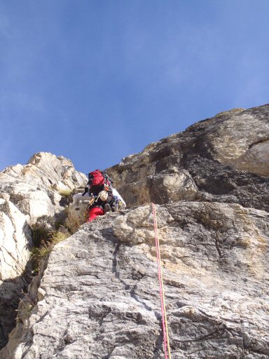 Aiguille de la Nova 012b.jpg - C'est un peu piquant en grosses